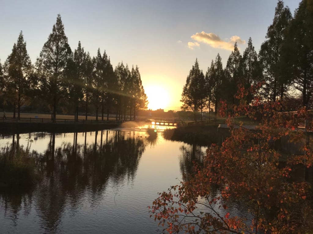 打上川治水緑地公園