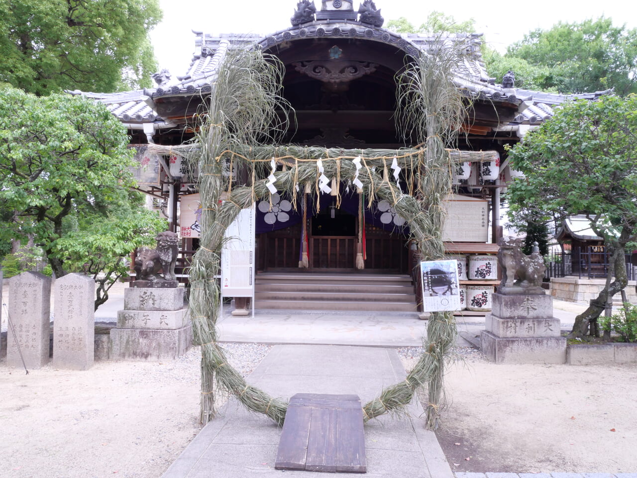 大利神社の茅の輪