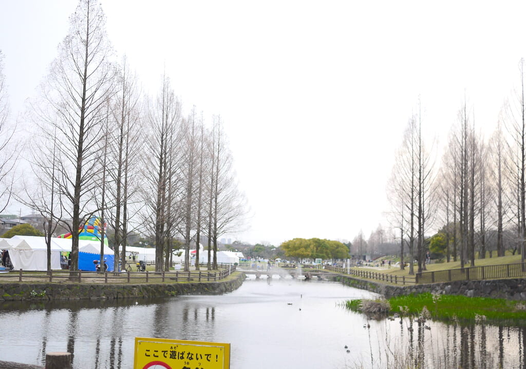寝屋川市の打上川治水緑地
