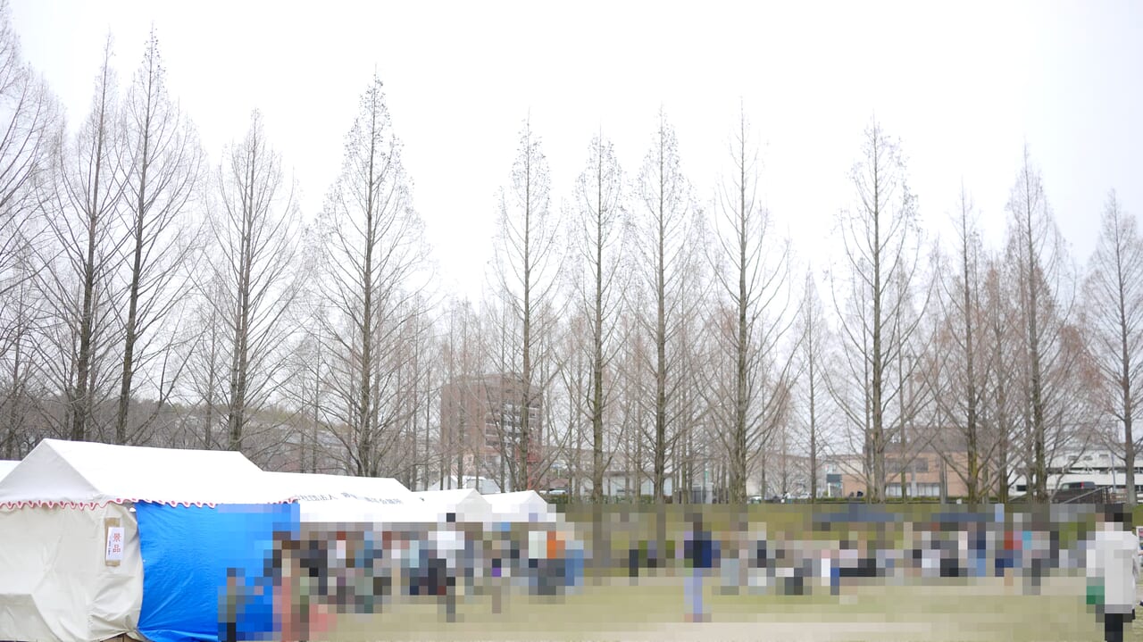 打上川治水緑地の様子