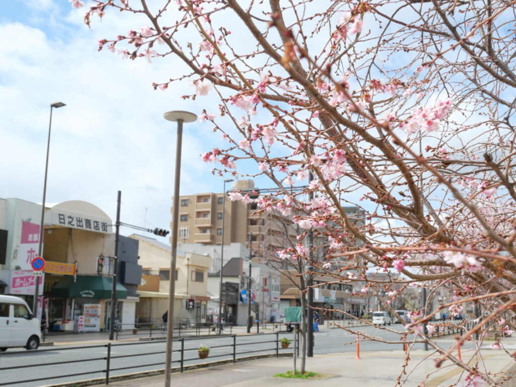 日之出商店街と桜