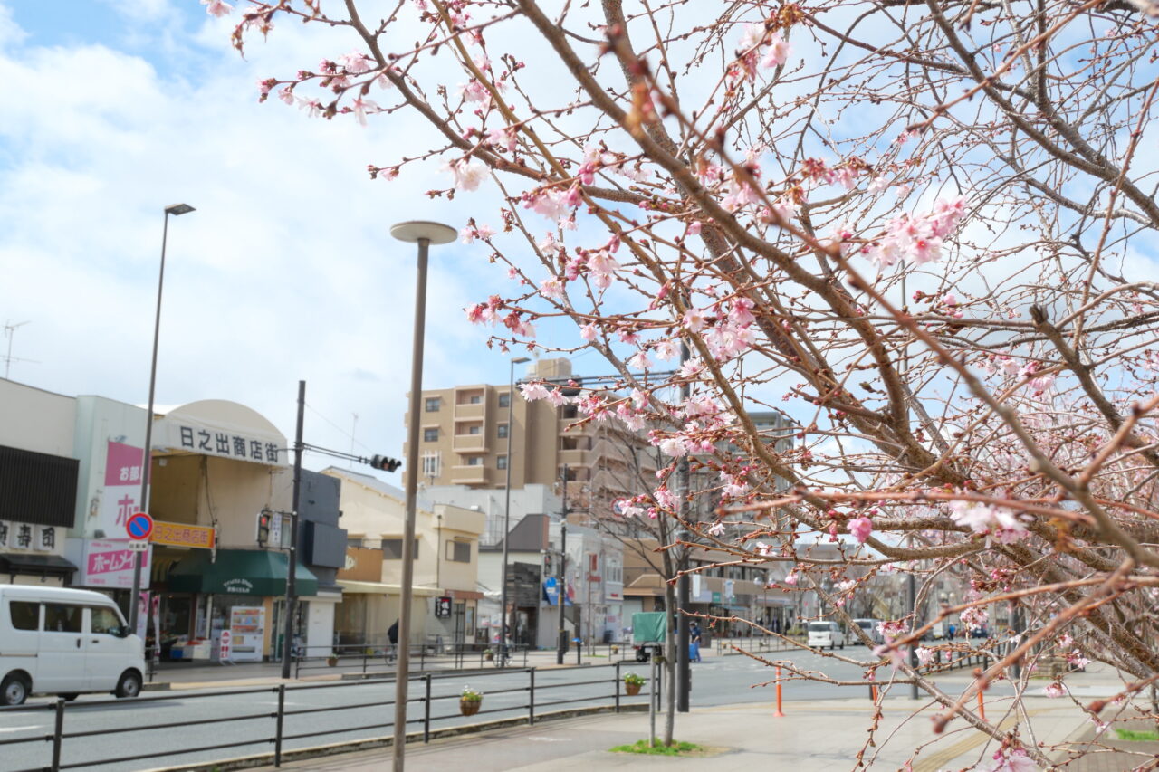 日之出商店街と桜