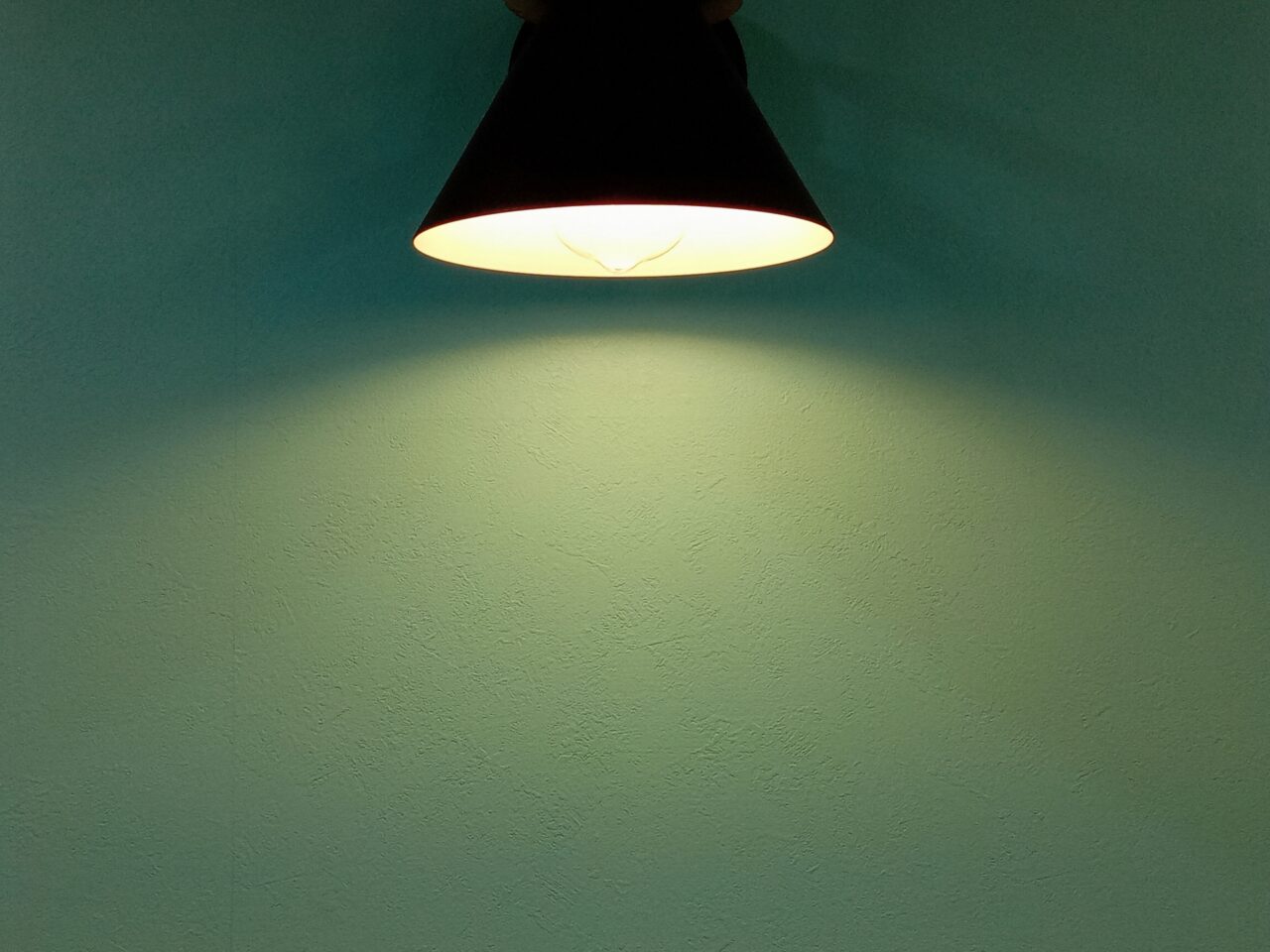 写真のイメージ