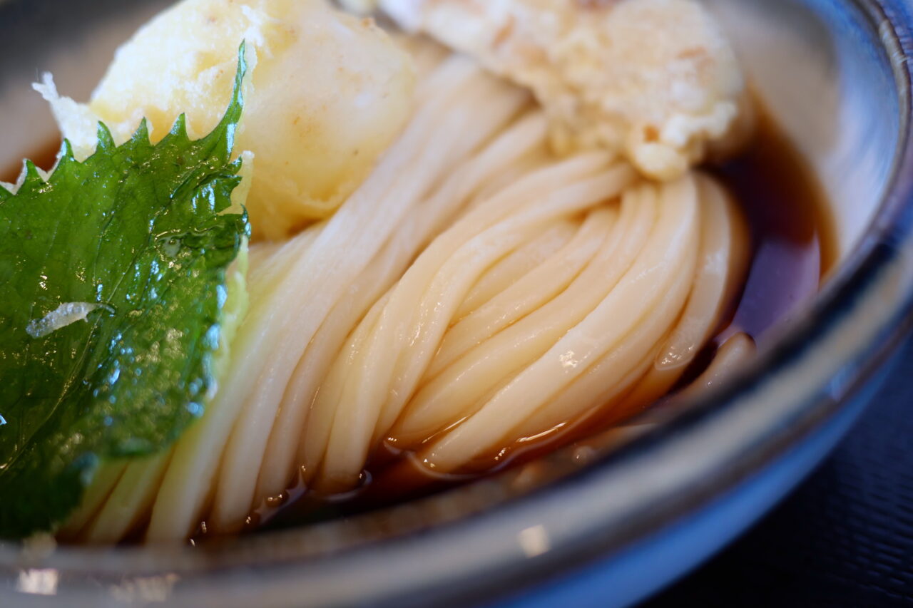 うどんの麺のアップ（うどんらんぷ若蔵）