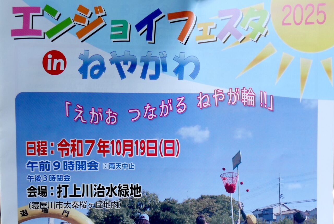 エンジョイフェスタのチラシ