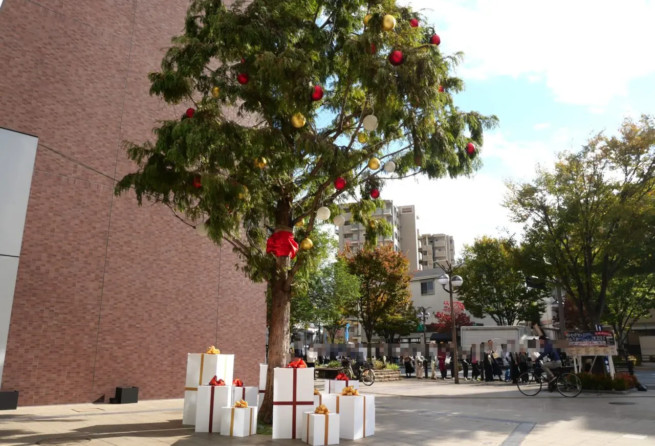 14メートルのメタセコイアのクリスマスツリー