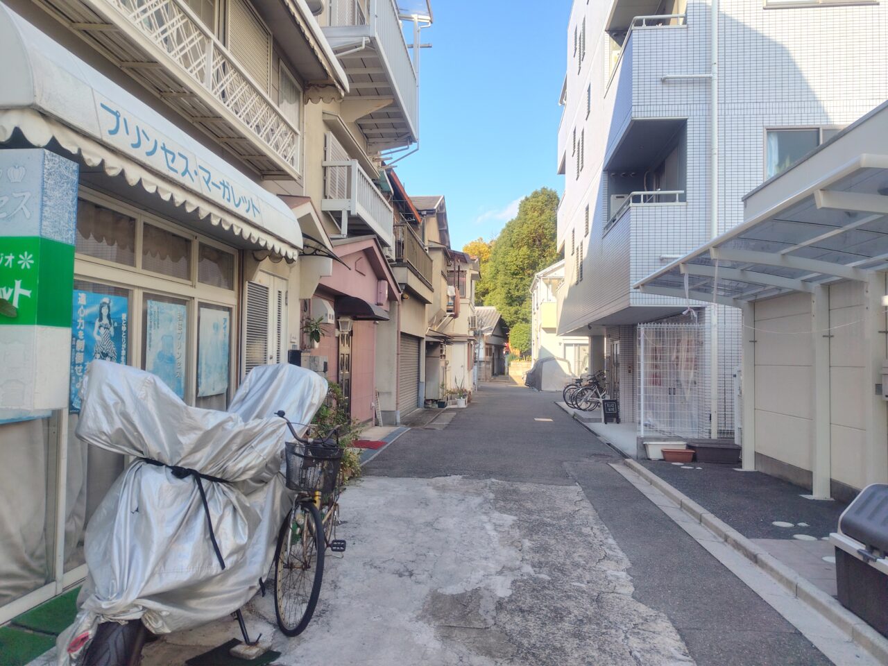 マーガレットなどの道