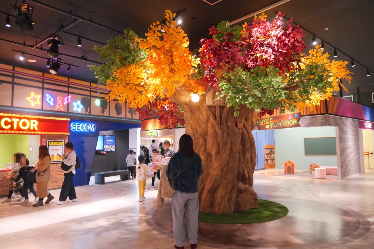 カンドゥーパーク内の木