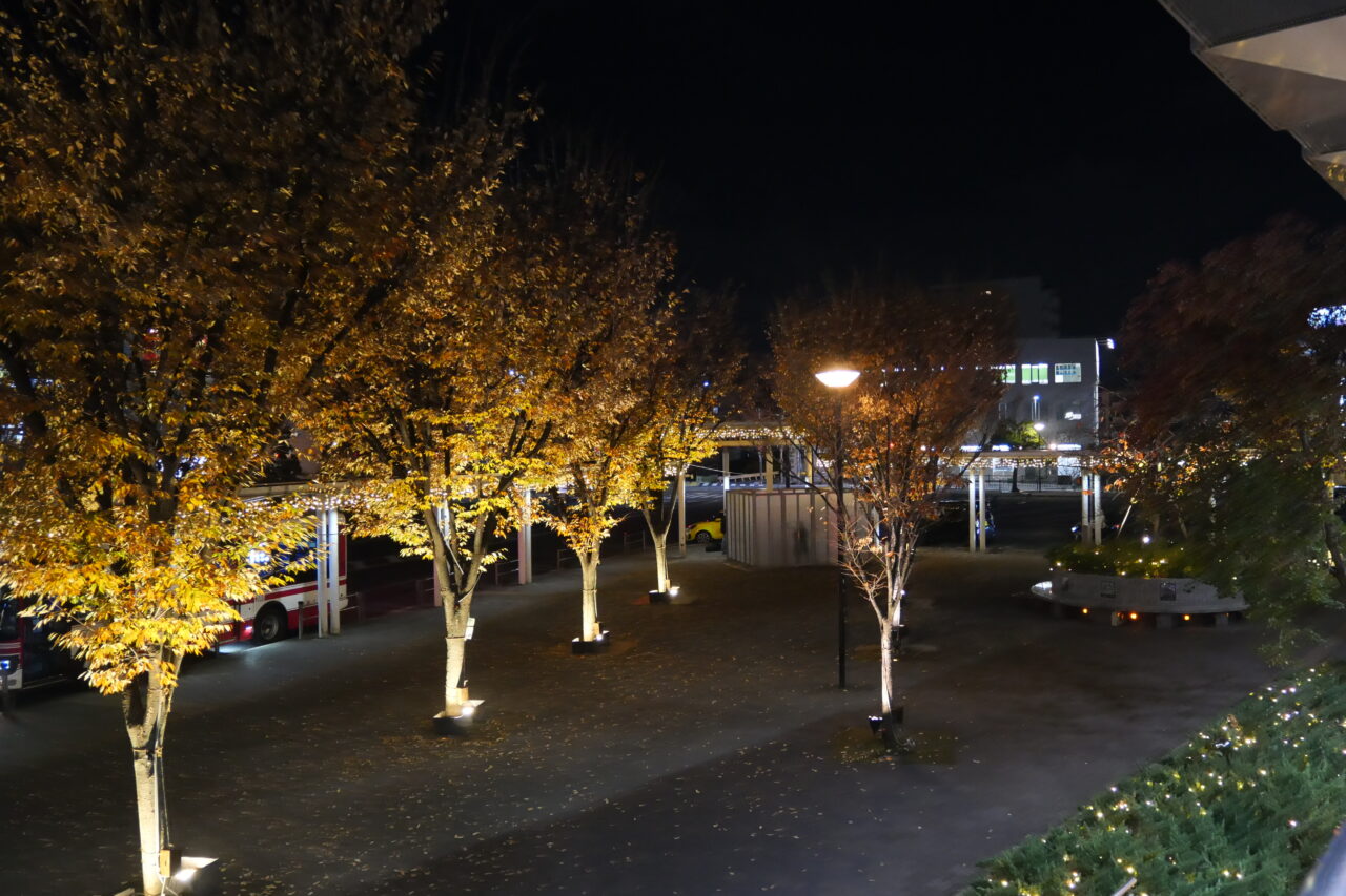 西側、東側の街路樹で表情が違う