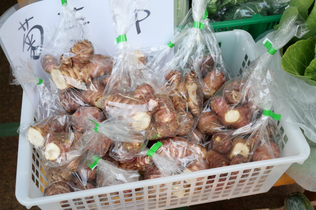 イチオシの菊芋