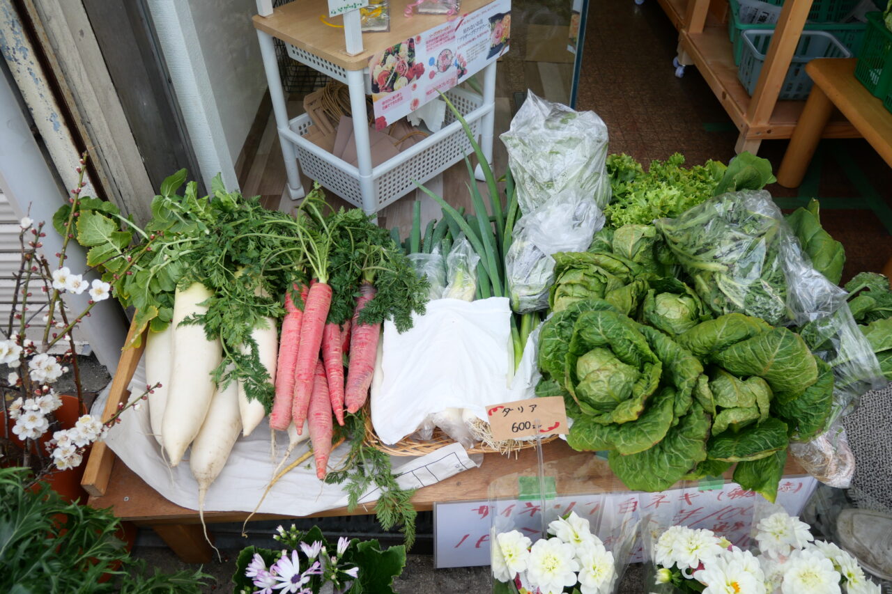 朝採れ野菜