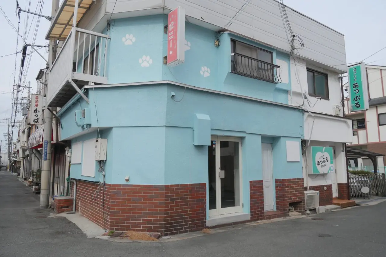 ボニーのかわいらしい外観