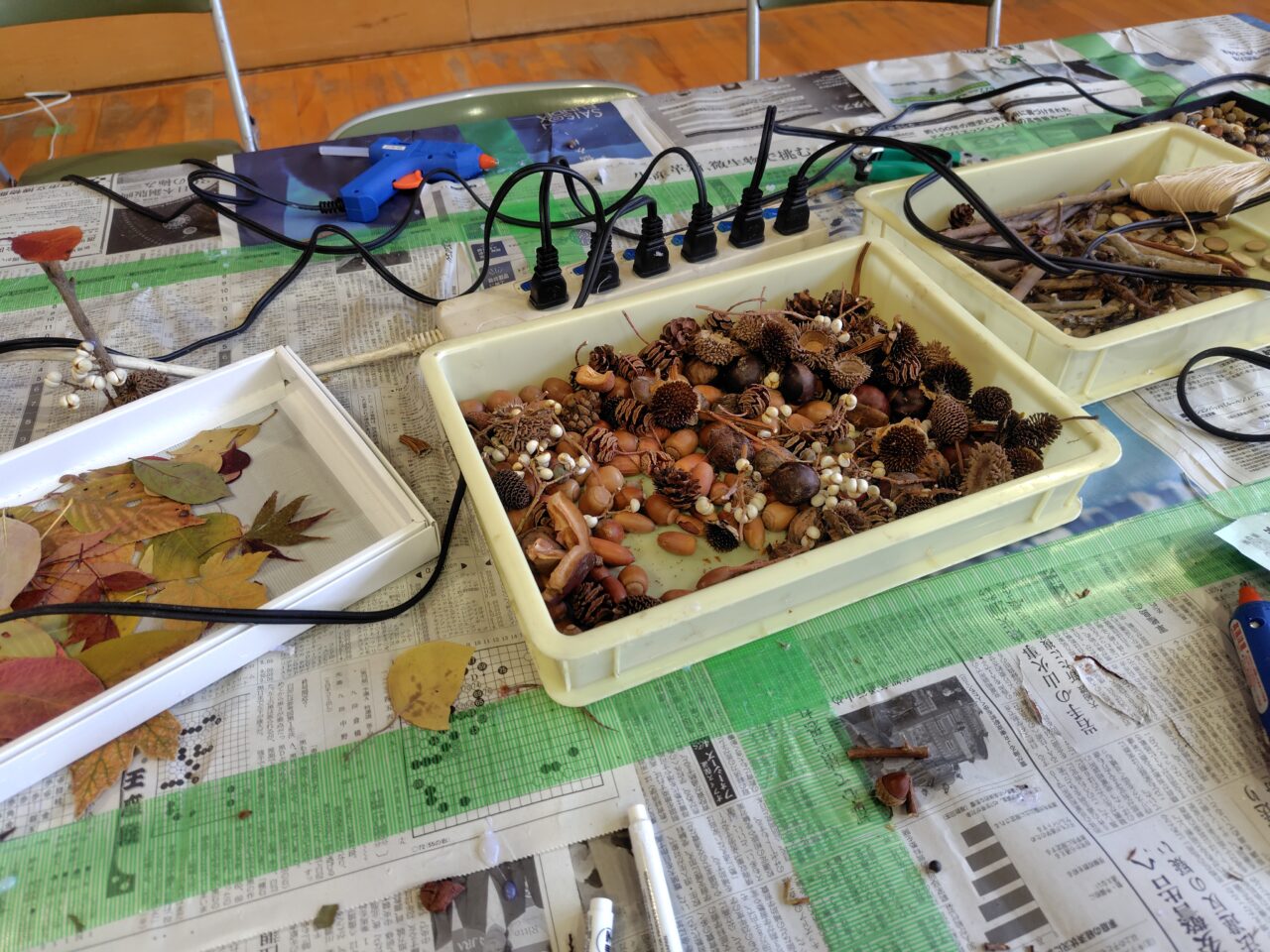 ドングリの工作
