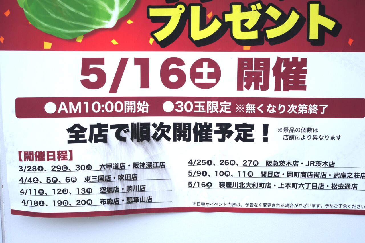 寝屋川のキャベツ