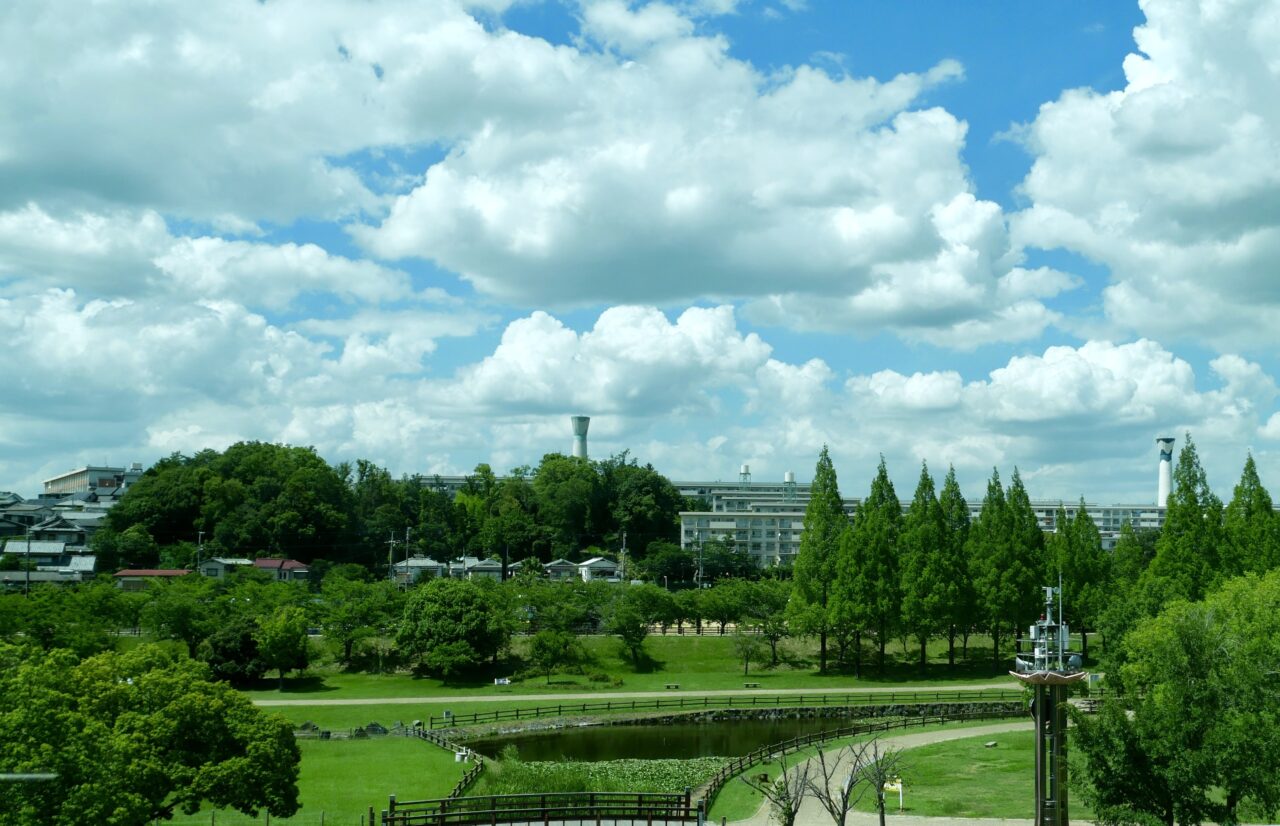 打上川治水緑地の風景