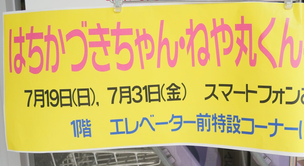 撮影会の場所