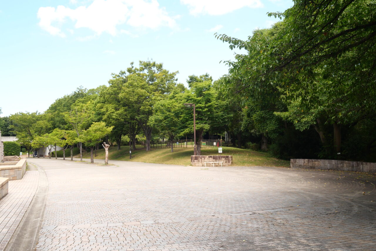 右手の丘