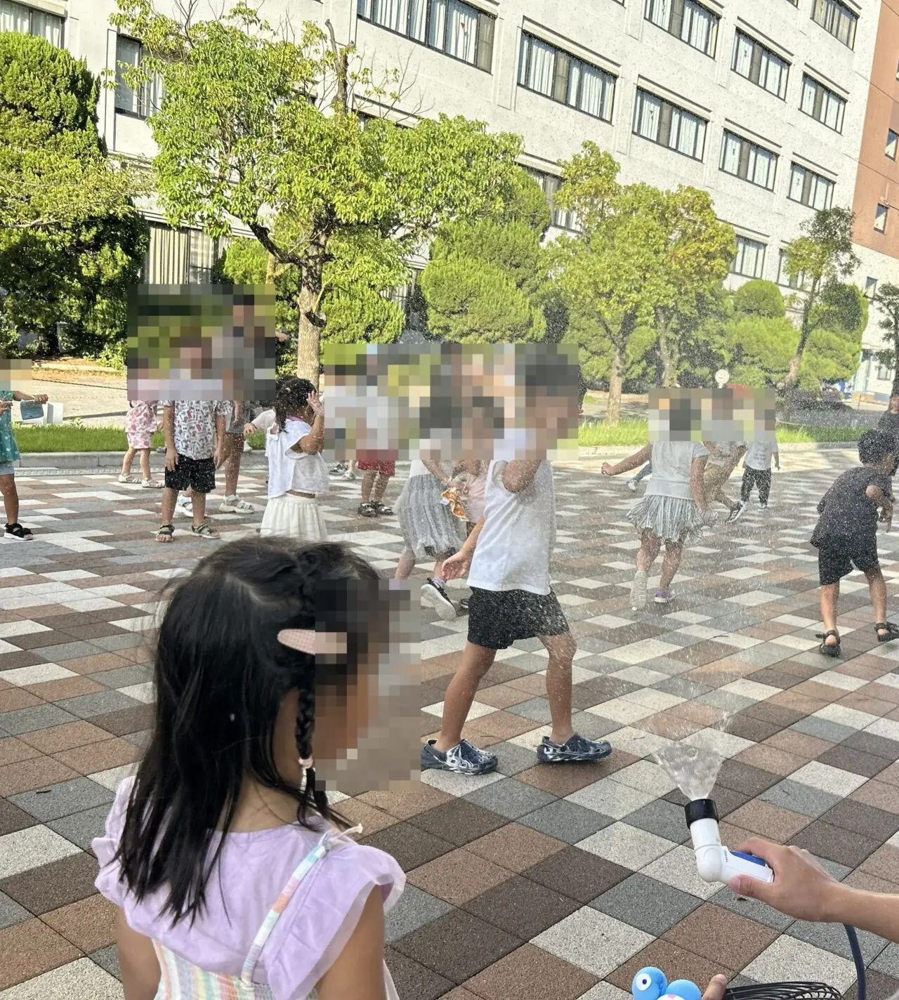 提供写真2